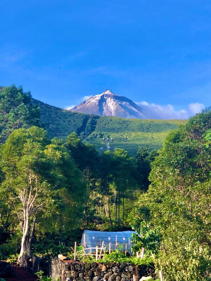 Quinta Pereirinha Farm - A Private 3 Bedroom Vacation Home, Close To Hiking W Ocean Views - Pico Island, Azores São Roque do Pico エクステリア 写真