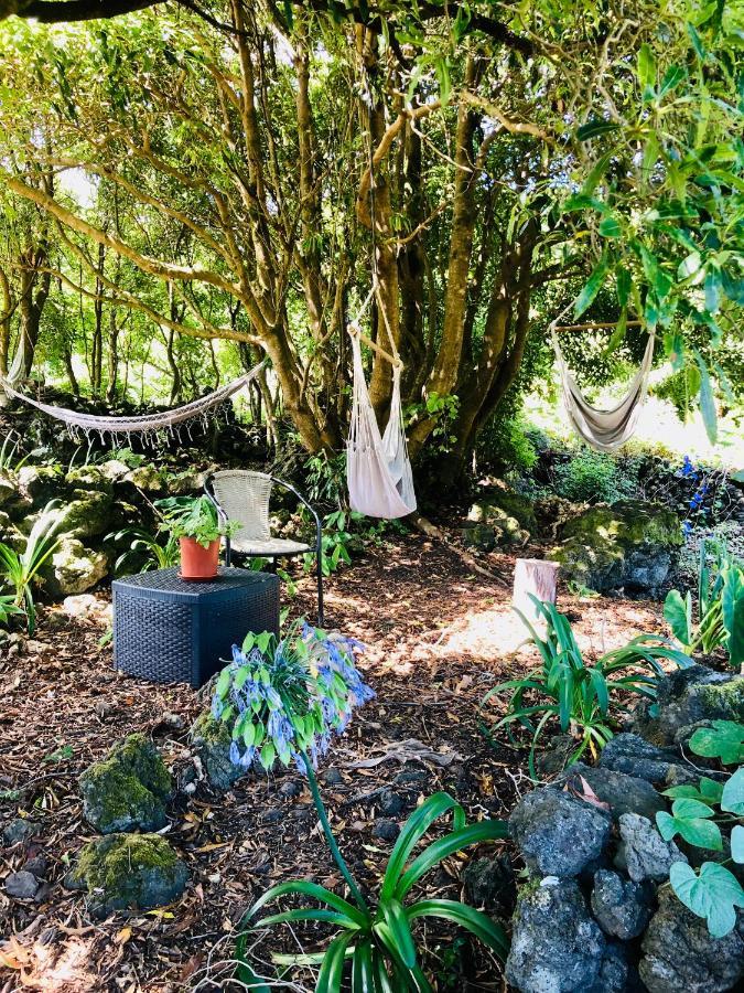 Quinta Pereirinha Farm - A Private 3 Bedroom Vacation Home, Close To Hiking W Ocean Views - Pico Island, Azores São Roque do Pico エクステリア 写真